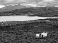 Isle of South Uist